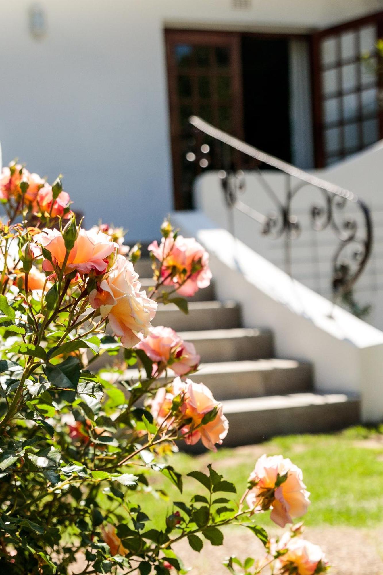 Hillingdale On Alexandra Hotell Cape Town Eksteriør bilde